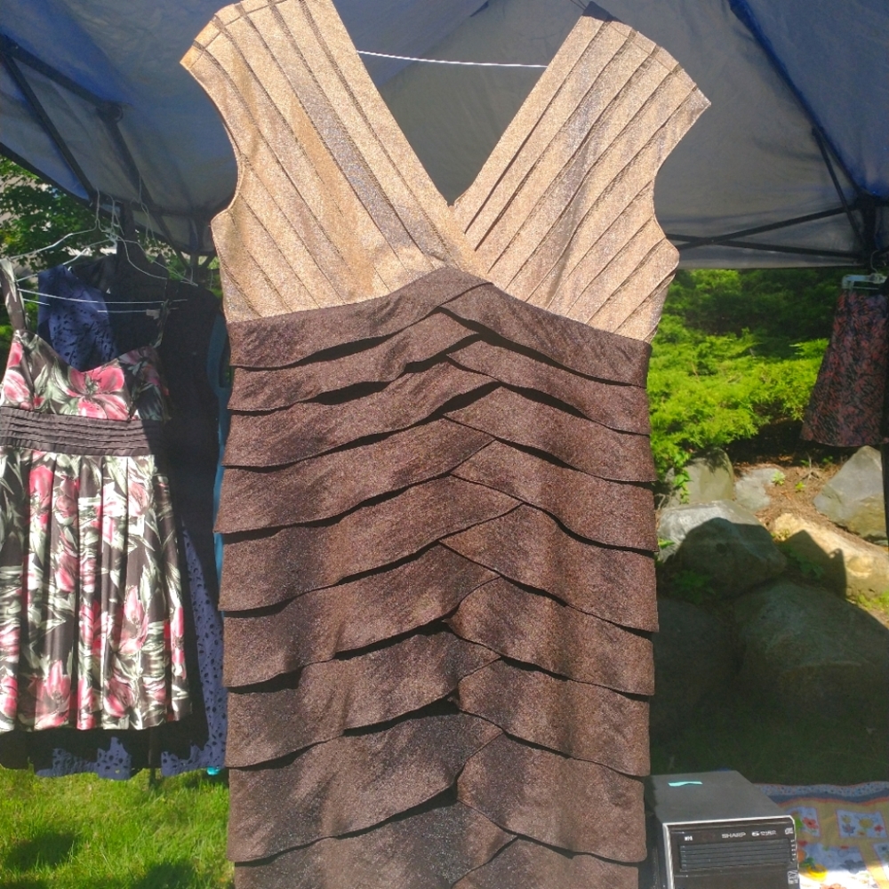 Size 10 Brown Tiered Dress